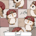 Coowl