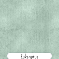 Eukalyptus