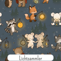 Lichtsammler