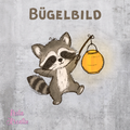 Lichtsammler Waschbär