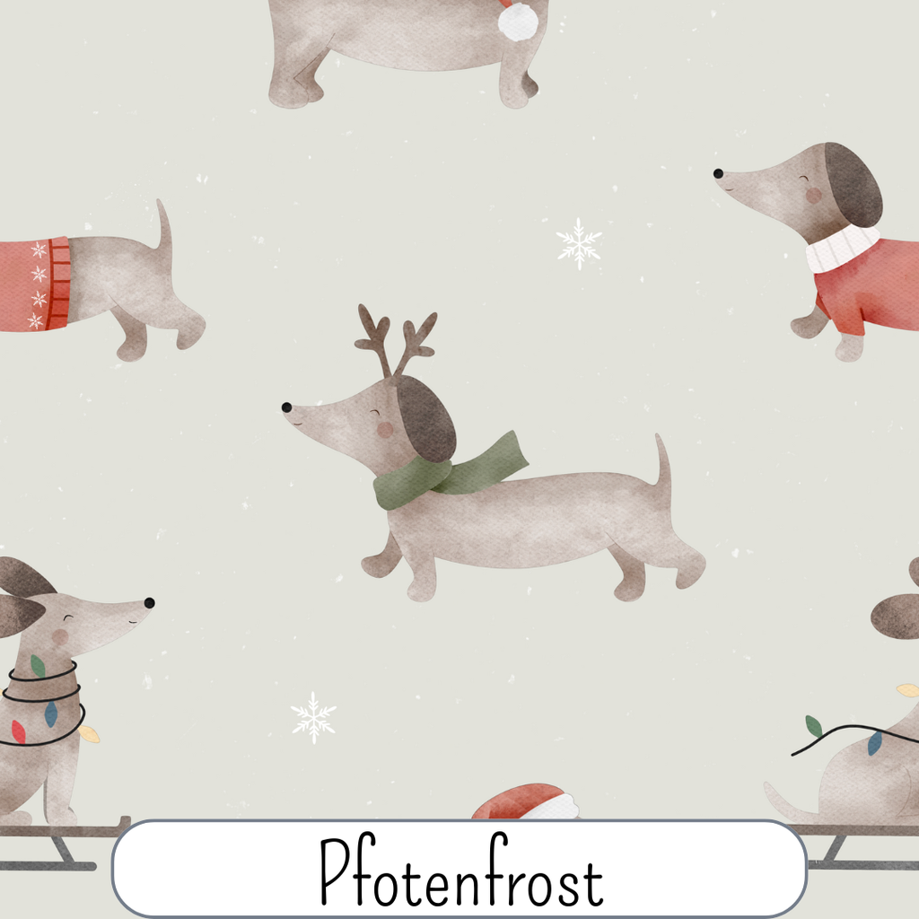 Pfotenfrost