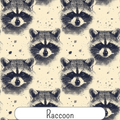 Raccoon