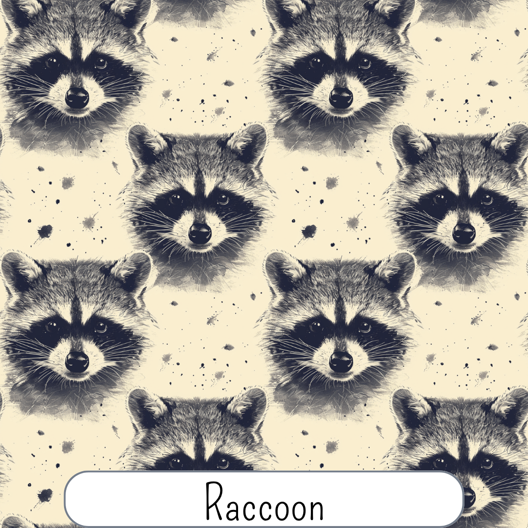 Raccoon